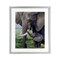 Stupell Industries Baby Elephant And Mother Framed Print Under Glass, design by James Corwin